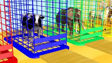 Animals Eat Food Bagels Colorful