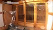 [LIVING] A 50-year-old Korean-style residence, reborn as a newlywed house., 생방송 오늘 아침 20200217