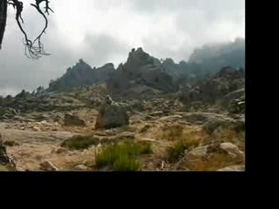 Corsica