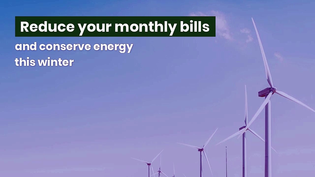 Tuesday Tip 2020 | Seed Processing, Seed Packing, Seed Cold Storage, Seed Warehouse, Turnkey Projects | India | Thailand | Jam Jam Group