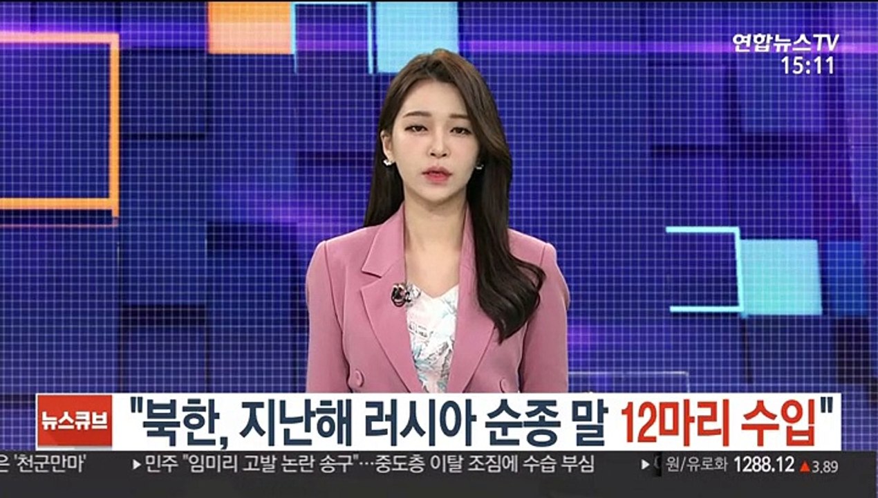 "북한, 지난해 러시아 순종 말 12마리 수입"