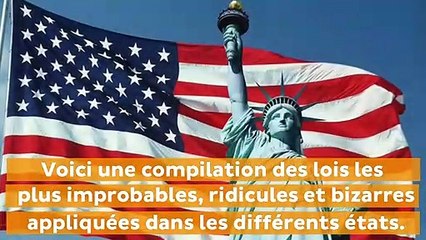 Compilation des lois américaines les plus ridicules