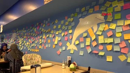 Van müşterilerin hayalleri, lokantanın duvarlarında