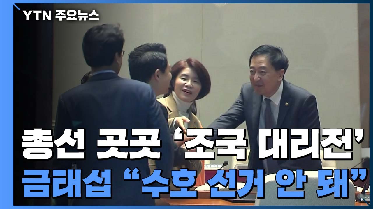 총선 곳곳 '조국 대리전'...금태섭 "조국 수호 선거 안돼" / YTN