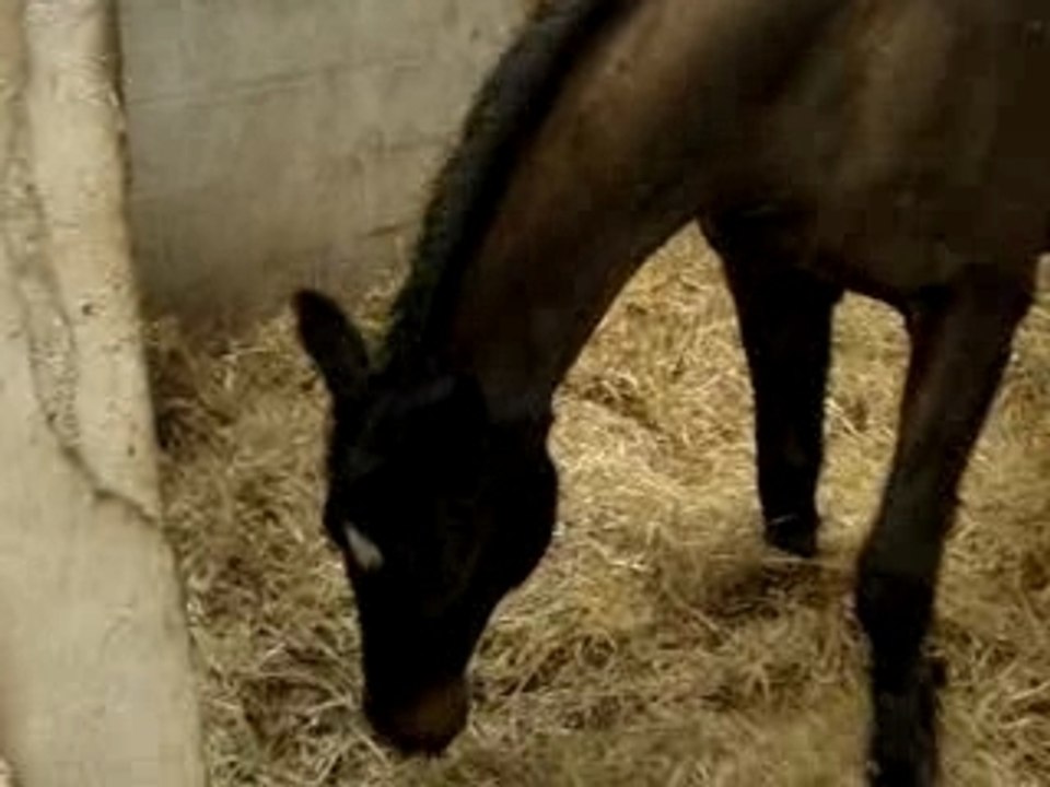 Barakas se roule après un bon p'tit parcours !