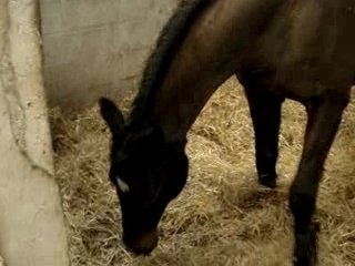 Barakas se roule après un bon p'tit parcours !