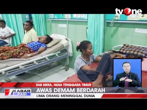 Darurat DBD di Kabupaten Sikka, Lima Orang Meninggal Dunia