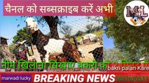 बकरी पालन करके करोड़ों कमाए bakri palan Karke pesa hi pesa kamai