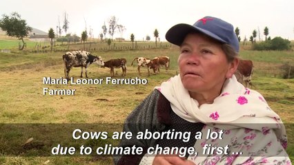 Tough weather kills 48,000ha crops in central Colombia