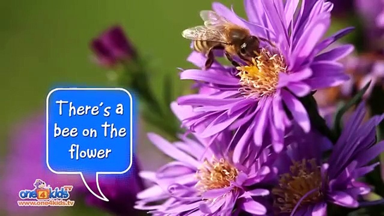 Zaky Animal Songs For Kids - Muslim Cartoons