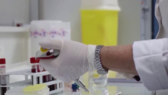 Tragjedia e Bulqizës, nëna dhe dy fëmijët dyshohet se kanë vdekur për shkak të sobës me dru