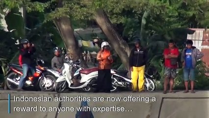 Dev timsah, 4 senedir boynuna sıkışan lastikle yaşıyor