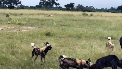 보은출장서비스 보은출장서비스O1OE9914E7203｛카톡MOK8｝ 보은출장마사지샵 보은출장안마on보은출장안마cos여3♪⇔∃마사지황형♥≕≪