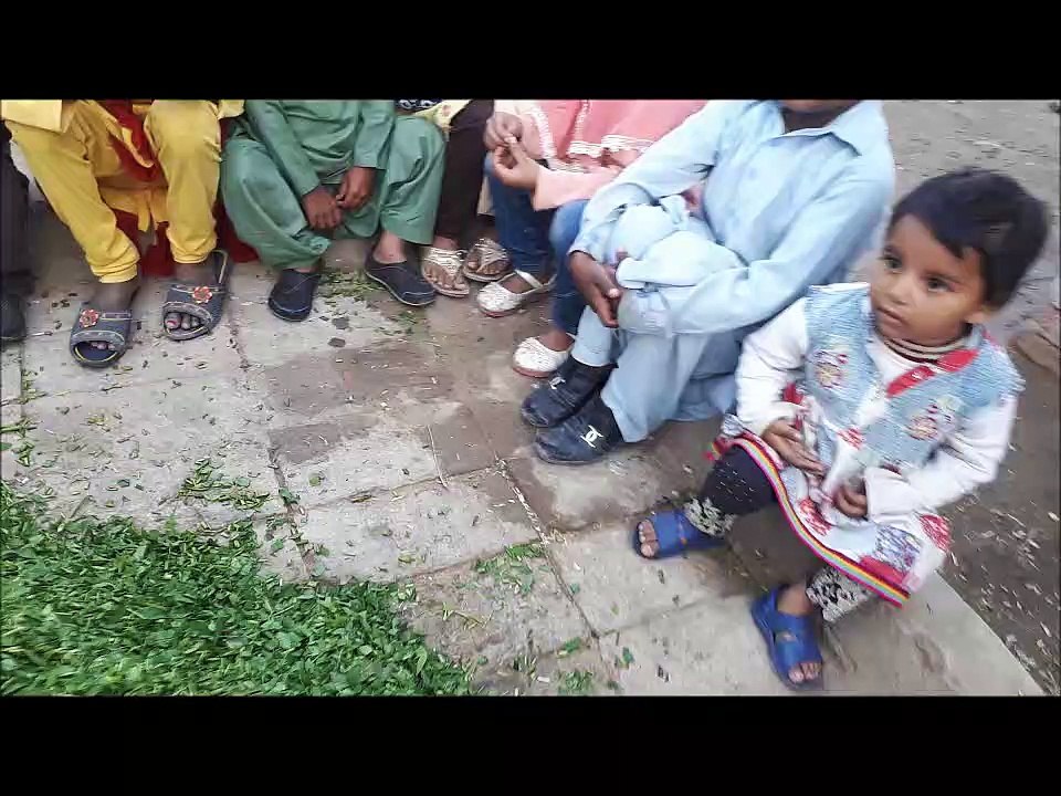 Children's video