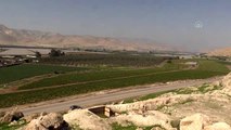 İsrail'in Filistin tarım ürünlerinin ihracatını engellemesi ekonomide yıkıma neden olabilir (1)