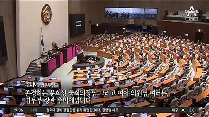국회 환영 못 받은 추미애