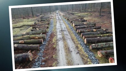 Le Parc à Grumes de Wallonie 14 02 2020