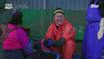 호동이 주먹만 한 매생이는 꽃단장 중…☆