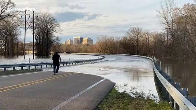 'Seth Rogen lookalike' catches huge fish with bare hands on flooded road in Mississippi