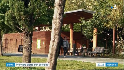 Santé : la saison des allergies au pollen est déjà là