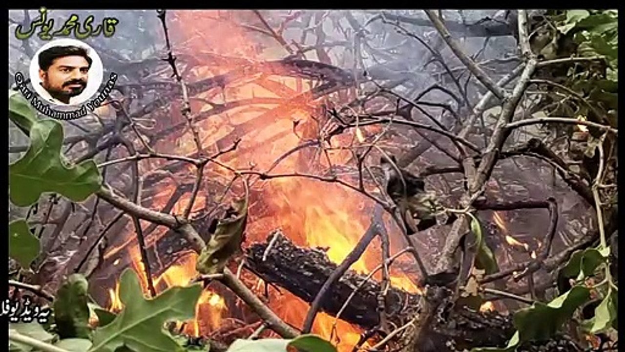 Australia ky Jungle men lagi aag kesy pheli