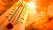 Palakkad, Kerala records country's highest temperature | Temperature | Global Warming