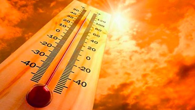 Palakkad, Kerala records country's highest temperature | Temperature | Global Warming