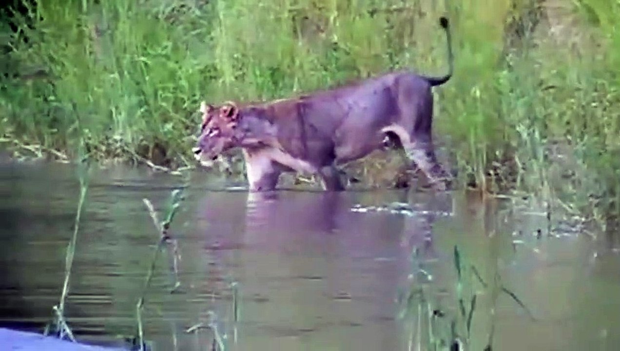 태백추천업소【OI0↔29O8↔68O③】태백추천업소예약♥≆≪