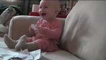 Baby Laughing (Original) - Laughing Baby - Funny baby laughing - laugh - baby