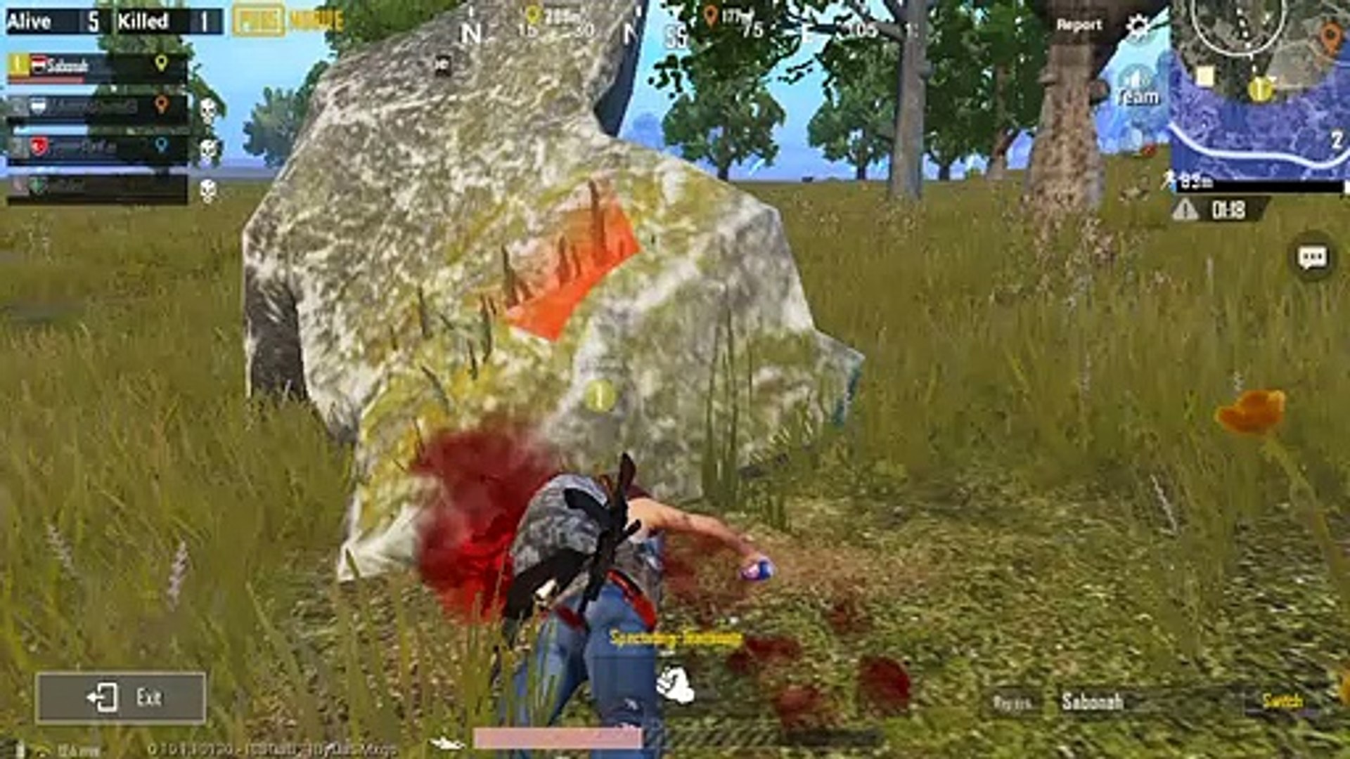 Sniper Pro Target In Last Red Zone Pubg Game