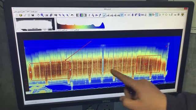 حُمص بالحشيش.. لحظة ضبط 4 أطنان من مخدر الحشيش بميناء الإسكندرية