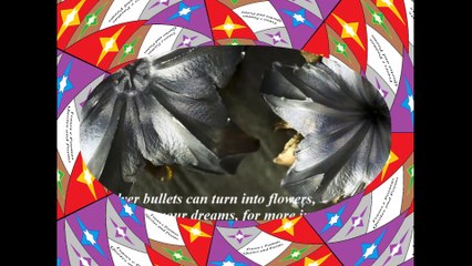 Even revolver bullets can turn into flowers, never give up your dreams! [Quotes and Poems]