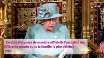 Prince Harry au cœur d’un nouveau scandale : des vidéos pornos sur le site de la famille royale