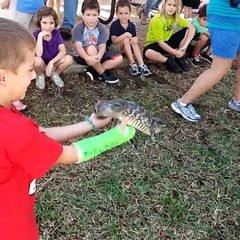 Crianças tendo um dia pior do que você