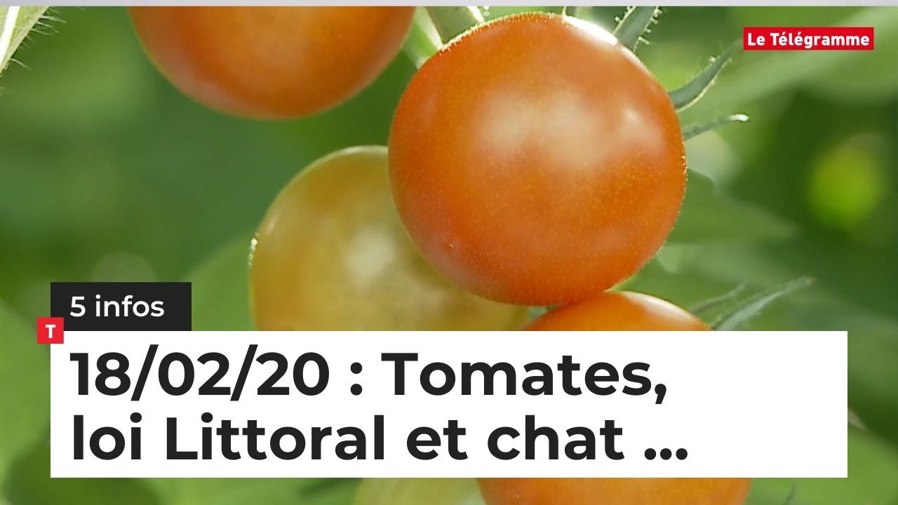 Tomates, loi Littoral et chat... 5 infos du 18 février