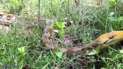 포항출장서비스 포항출장서비스O1Og4838g4959｛카톡SBS52 라인VPN58｝ 포항출장마사지샵 포항출장안마on포항출장안마cos여3♪⇔∃마사지황형♥≄≪