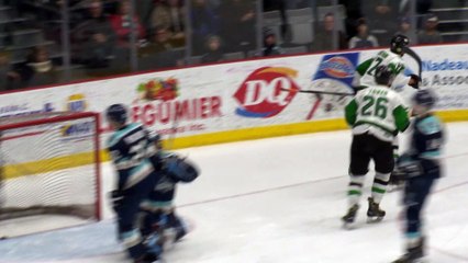 montage blizzard hockey ED