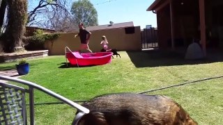 videos of funny falls to die of laughter