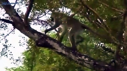 송정출장서비스 송정출장서비스O1OE6579E3382｛카톡VS67｝ 송정출장마사지샵 송정출장안마on송정출장안마cos여3♪⇔∃마사지황형♥◁≪