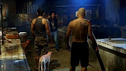 Cardo at Benny, nahuli ang suspek sa mga pagpatay ng aso