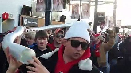 Serpent ou plus long gobelet en plastique du monde ?