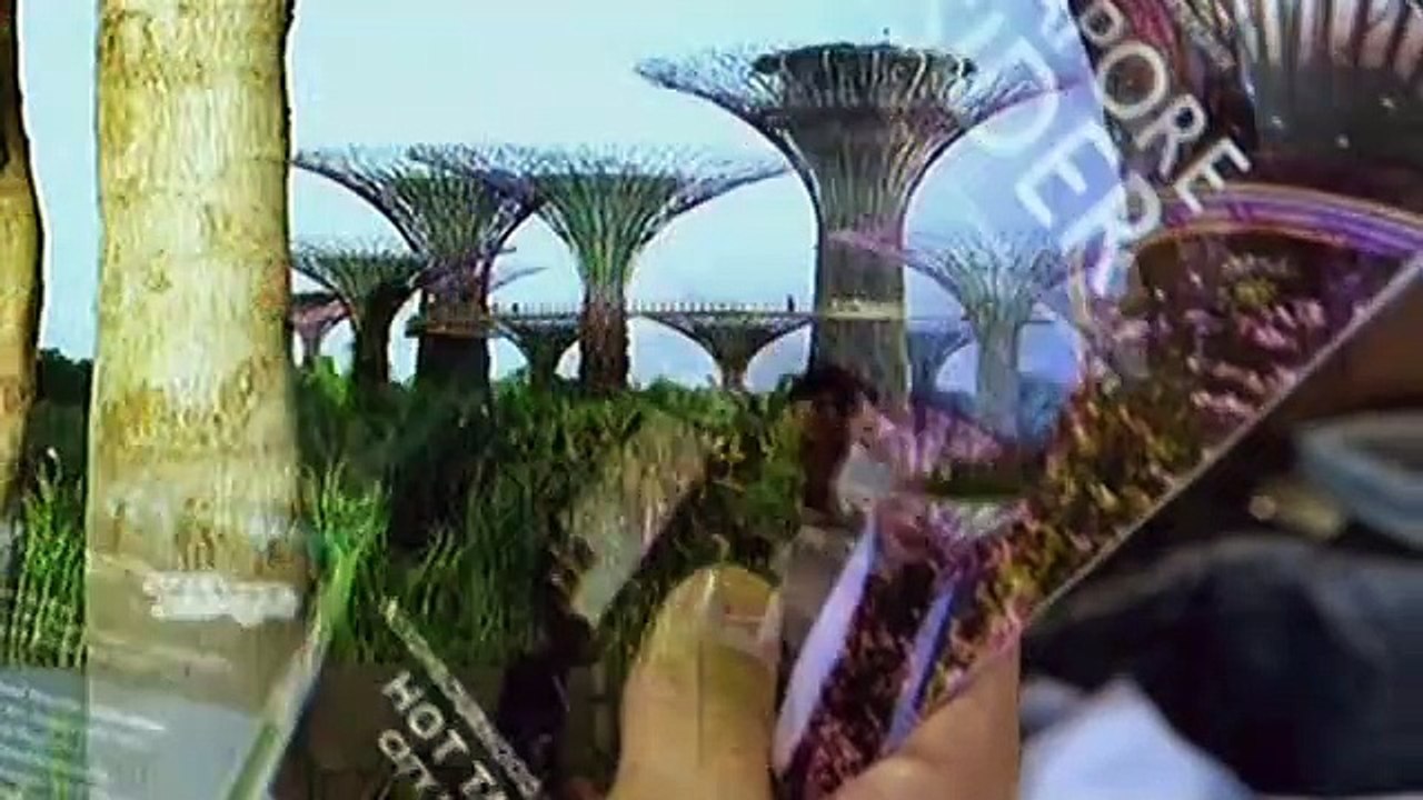 Phil, masayang inalala ang bonding nila ni Pinang sa Singapore
