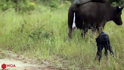 남양주출장서비스 남양주출장서비스O1OE8261E6657｛카톡KGB8｝ 남양주출장마사지샵 남양주출장안마on남양주출장안마cos여3♪⇔∃마사지황형♥≤≪