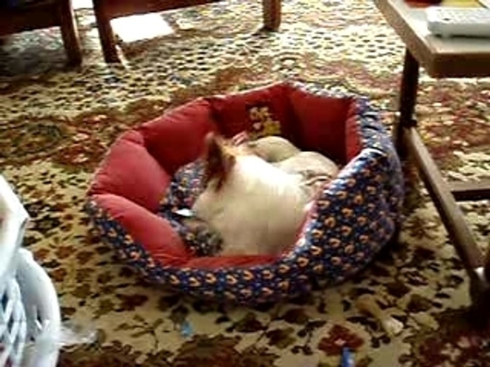 P1010009