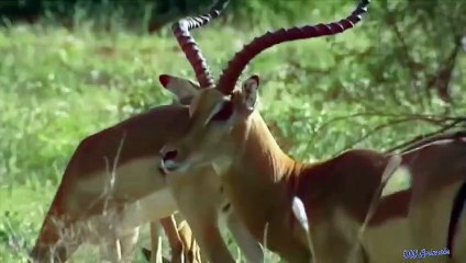 천안출장서비스 천안출장서비스O1Og2118g2518｛카톡TAT22｝ 천안출장마사지샵 천안출장안마on천안출장안마cos여3♪⇔∃마사지황형♥⊊≪