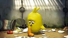 LARVA SEASON1, CHICK, CRAZY CARTOONS, PLEASANT EPISODE