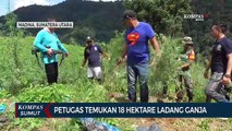 Petugas Temukan 18 Hektare Ladang Ganja