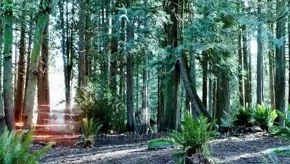 The Flash S06E13 Grodd Friended Me