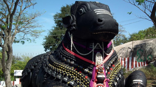 Nandi idol atop Chamundi Hill develop a Splinter | Chamundi Hills | Mysore | Oneindia Kannada