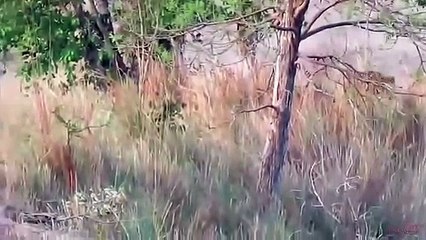 원주출장서비스 원주출장서비스O1Og2154g6609｛카톡VPN58｝ 원주출장마사지샵 원주출장안마on원주출장안마cos여3♪⇔∃마사지황형♥≂≪